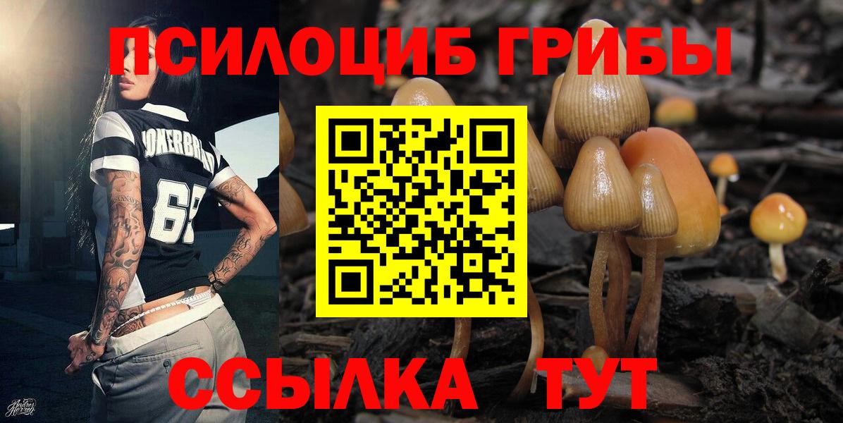 Галлюциногенные грибы Magic Shrooms  Галлюциногенные грибы Psilocybine cubensis  Вход с VPN  Баксан 