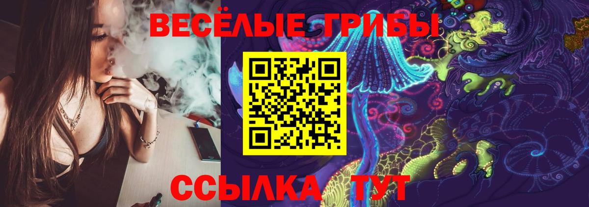 Псилоцибиновые грибы прущие грибы Баксан